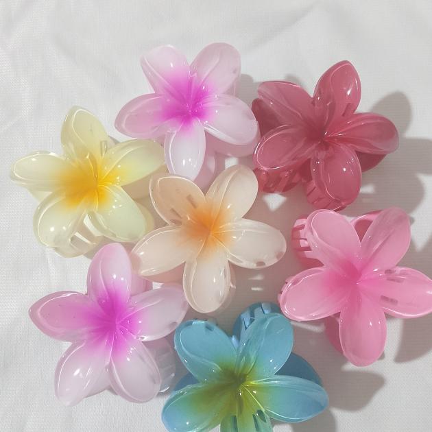 mandal toka